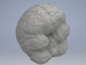 brain people body scan 3d print model - Mito3D