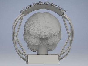 brain display people body scan trophy 3d print model - Mito3D