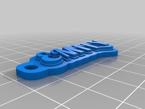 emily's keychain organization customized 3d print model - Mito3D