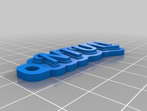 ntuli's keychain organization customized 3d print model - Mito3D