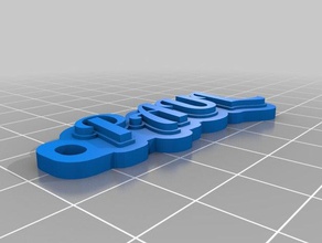 paul's keychain organization customized 3d print model - Mito3D