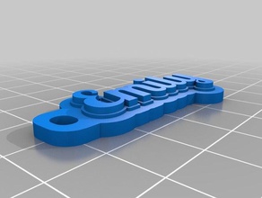 emily's keychain organization customized 3d print model - Mito3D