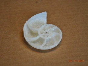nautilus-Muschel andere ansys Kunst fossil Geologie geoscience der Paläontologie shellter 3d print model - Mito3D