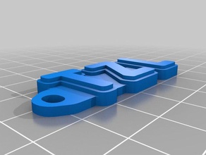 tzlkeychain organization customized 3d print model - Mito3D