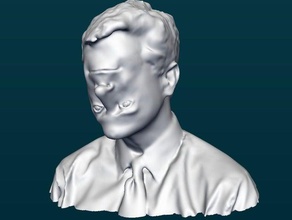 inverse colbert other mashup meshmixer scanned weird bust makerstrong pointless 3d print model - Mito3D