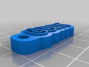 cunt keychain organization customized 3d print model - Mito3D