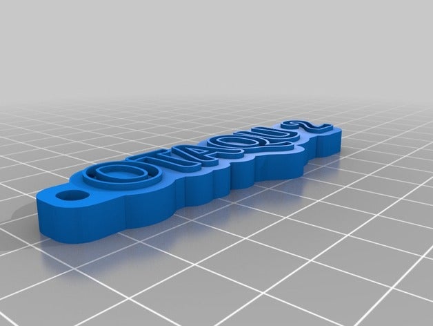 otaqu 2 keychain de l'organisation personnalisé 3D print model - Mito3D