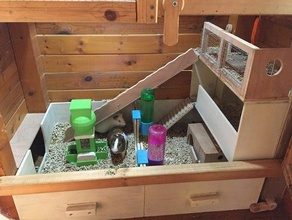 guinea pig feeder Haustiere 3d print model - Mito3D