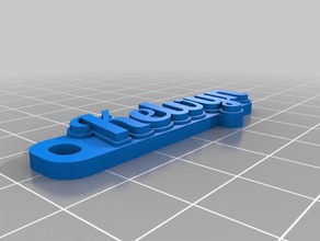kelvin organization customized 3d print model - Mito3D