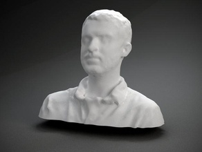 jamie wilkinson diğer baskın yüz insan polhemus taranan heykel kafa vhx 3d print model - Mito3D