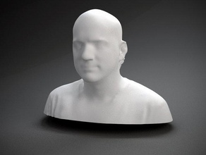matthew waldman d'autres buste face l'homme polhemus numérisé sculpture tête nooka 3d print model - Mito3D