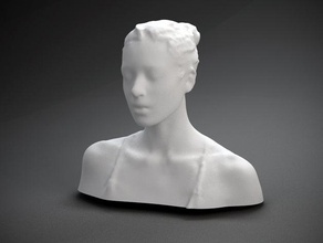 stoya diğer baskın yüz insan polhemus taranan heykel kadın aktör aktris kafa 3d print model - Mito3D