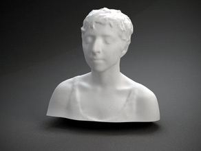 becky stern andere die Büste Gesicht Mensch polhemus gescannt wird Skulptur Frau Künstler designer Kopf 3d print model - Mito3D