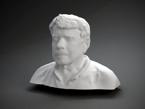 kenneth snelson d'autres buste face l'homme polhemus numérisé sculpture tête 3d print model - Mito3D