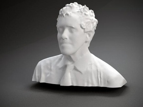 yok polec diğer baskın yüz insan polhemus taranan heykel kafa 3d print model - Mito3D