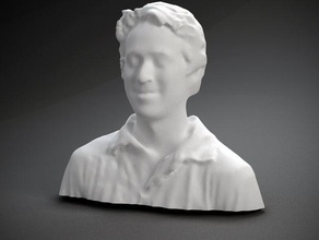 randy pearlstein other bust face human polhemus scanned sculpture head 3d print model - Mito3D