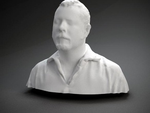 richard nash d'autres buste face l'homme polhemus numérisé sculpture tête 3d print model - Mito3D