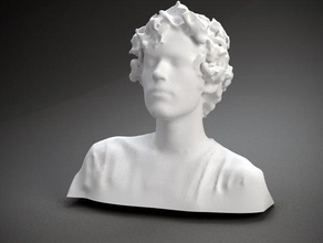 tartışmalı aka christopher poole diğer baskın yüz insan polhemus taranan heykel tuval kafa 3d print model - Mito3D