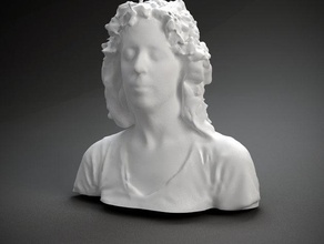 paddy johnson d'autres buste face l'homme polhemus numérisé sculpture femme tête 3d print model - Mito3D