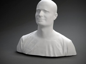 damian hess mc frontalot d'autres buste face l'homme polhemus numérisé sculpture tête 3d print model - Mito3D