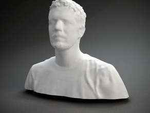 brady forrest diğer baskın yüz insan polhemus taranan heykel kafa 3d print model - Mito3D