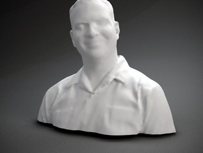 cory doctorow d'autres buste face l'homme polhemus numérisé sculpture tête 3d print model - Mito3D