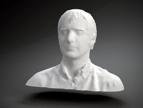 chris deaner d'autres buste face l'homme polhemus numérisé sculpture tête 3d print model - Mito3D