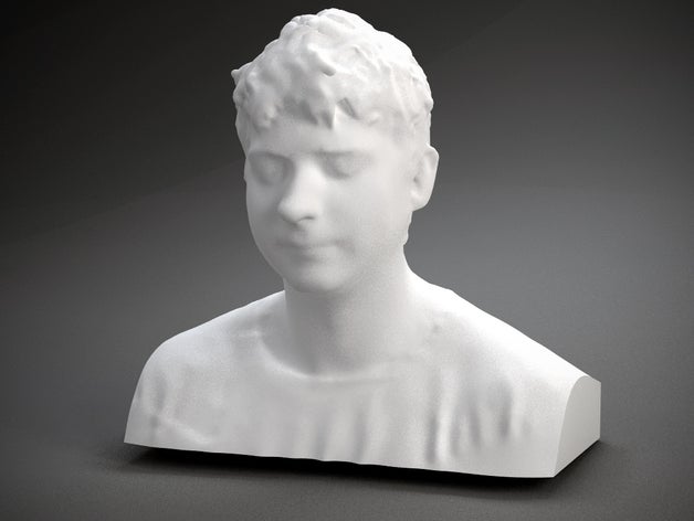 adam cecchetti, estudiante otros busto la cara humanos polhemus escaneado escultura cabeza 3D print model - Mito3D