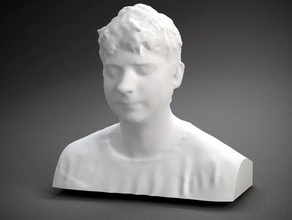 adam cecchetti andere die Büste Gesicht Mensch polhemus gescannt wird Skulptur Kopf 3d print model - Mito3D