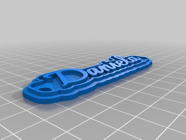 daniela organizasyon özelleştirilmiş 3D print model - Mito3D