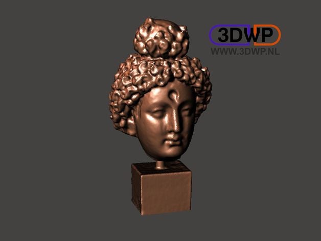 kafa Buda 3d tarama bodhisattva heykel ve kopyaları sanat tarar büstü meshmixer met3d metropolitan Sanat Müzesi met mantıklı tarayıcı anlamda 3D print model - Mito3D