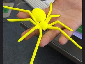spider animali aracnide faccia felice 3d print model - Mito3D