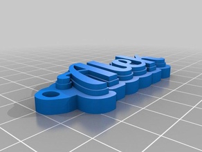 noms alek de l'organisation personnalisé 3d print model - Mito3D