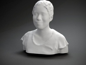 diana eng other 3d print model - Mito3D