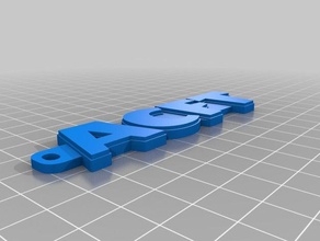 acft tag llavero organización personalizado 3d print model - Mito3D
