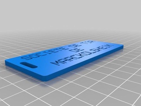 plaque stm11 organization customized 3d print model - Mito3D