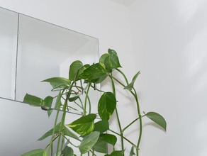 plant hanger outdoor & garden hook 3d print model - Mito3D