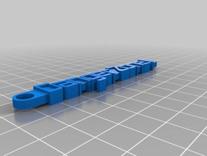 zona de peligro llavero organización personalizado 3d print model - Mito3D