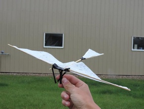 ornithopter mecânico de brinquedos catchthewind escola ensino fundamental engenharia leonardo da vinci médio vapor haste tvy 3d print model - Mito3D