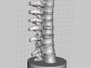 osso vertebral suporte de vela scans e réplicas Digitalização em 3d castiçal a decoração scan coluna 3d print model - Mito3D