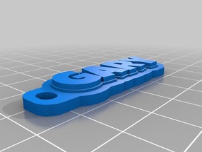 gary keychain organization customized 3d print model - Mito3D