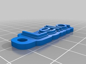 leila keychain organization customized 3d print model - Mito3D