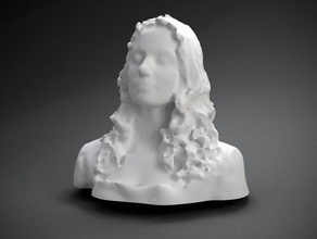 nora abousteit other 3d print model - Mito3D