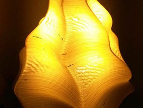 lamp shade analytic expression decor 3d print model - Mito3D