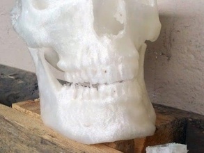 skull candy prato pessoas tigela humanos crânio humano 3d print model - Mito3D