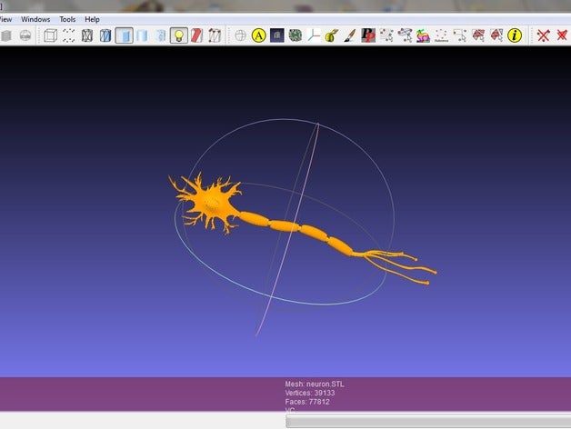 model nöron hücre biyoloji anatomi beyin eğitim insan ders Fizyoloji okul bilim Üniversitesi 3D print model - Mito3D