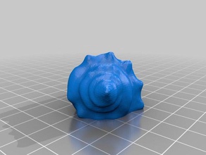 shell2 exploraciones & réplicas makerbotdigitizer scan 3d print model - Mito3D