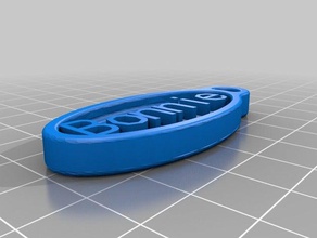 my customized keychain - bonnie coins & badges 3d print model - Mito3D