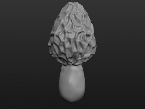 morel 001 a arte os cogumelos cogumelo natureza 3d print model - Mito3D