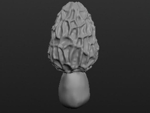 morel 002 a arte dnd os cogumelos cogumelo natureza underdark 3d print model - Mito3D